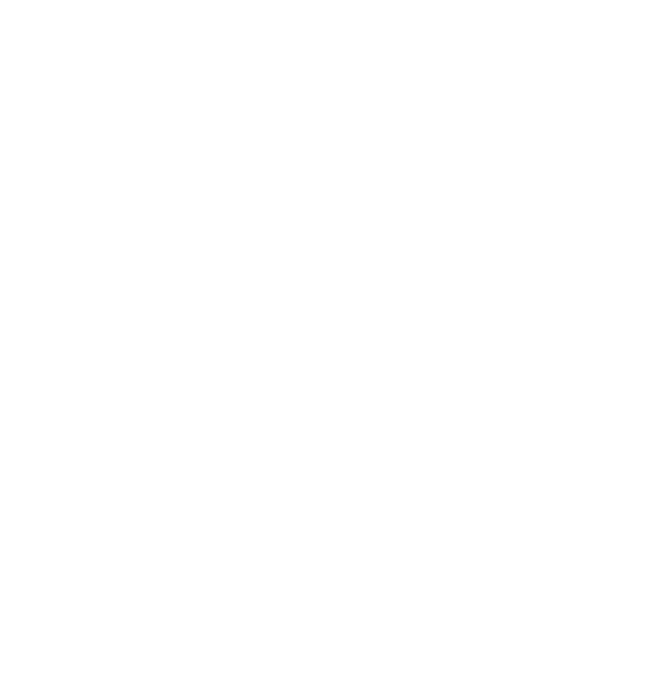 EvolutionInvision